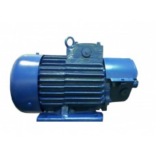 Электродвигатель крановый UNIPUMP AМTF 132L6 У1 IM1001 Электродвигатель крановый UNIPUMP AМTF 132L6 У1 IM1001