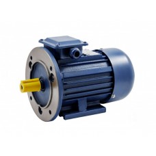 Электродвигатель ТМ БЭЗ UNIPUMP АИР 100L2 IM2081 Электродвигатель ТМ БЭЗ UNIPUMP АИР 100L2 IM2081