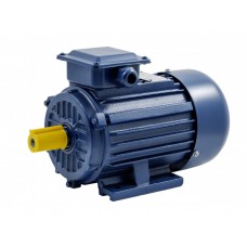 Электродвигатель UNIPUMP ТМ БЭЗ АИР 100S2 IM1081 Электродвигатель UNIPUMP ТМ БЭЗ АИР 100S2 IM1081