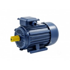 Электродвигатель ТМ БЭЗ UNIPUMP АИР 180М2 IM1081 Электродвигатель ТМ БЭЗ UNIPUMP АИР 180М2 IM1081