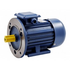Электродвигатель ТМ БЭЗ UNIPUMP АИР 56B4 IM2081 Электродвигатель ТМ БЭЗ UNIPUMP АИР 56B4 IM2081
